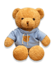 Fuzzy Wuzzy Teddy