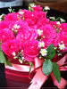 Morning - JULCOR FLOWERSHOP