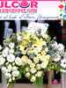 Heartfelt Condolences - JULCOR FLOWERSHOP